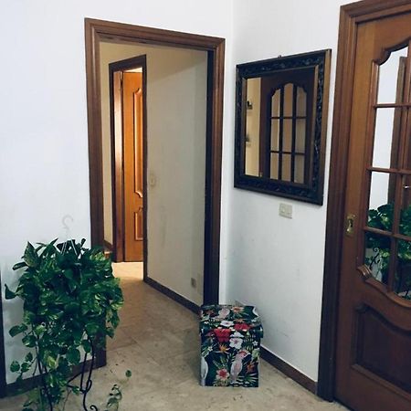 Appartamento Colosseo 罗马 外观 照片